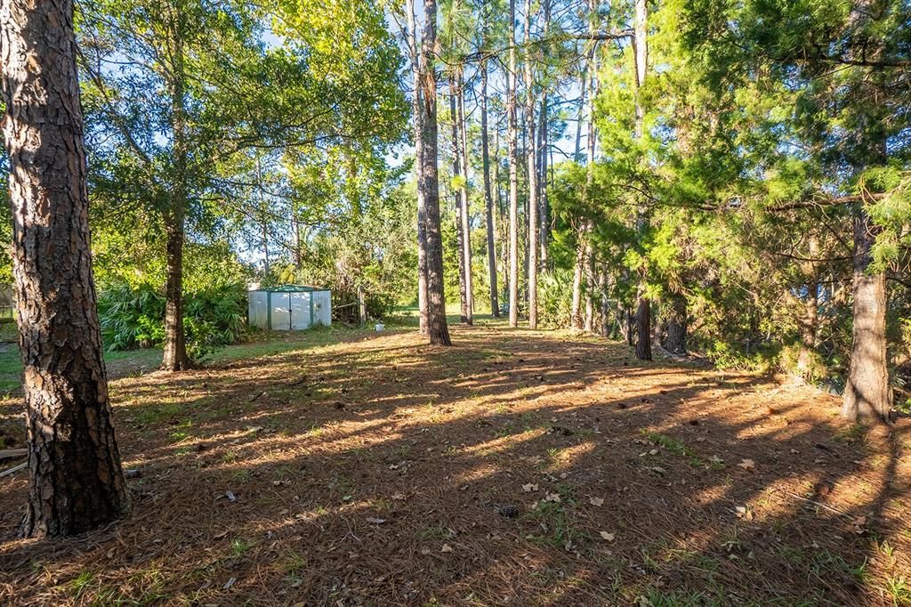 For Sale: $345,000 (3 beds, 2 baths, 1677 Square Feet)