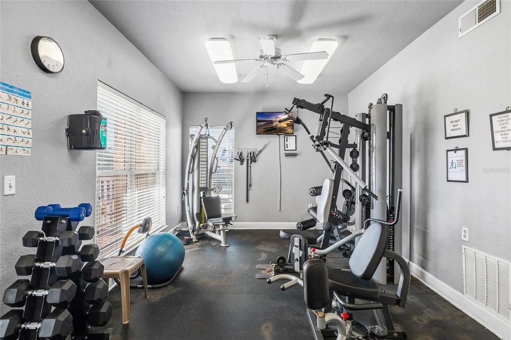 出租: $1,500 (1 贝兹, 1 浴室, 660 平方英尺)