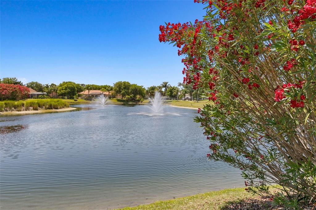 待售: $135,000 (0.36 acres)