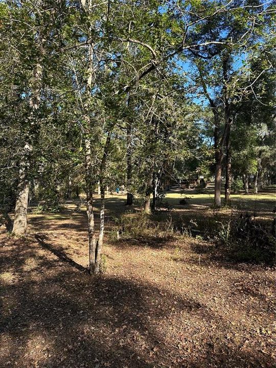 待售: $160,000 (3.00 acres)