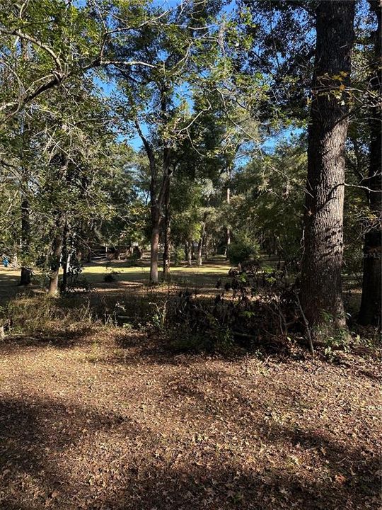 待售: $160,000 (3.00 acres)