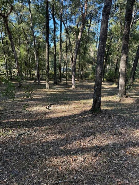 待售: $160,000 (3.00 acres)