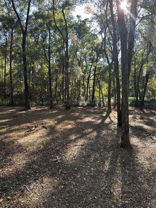 待售: $160,000 (3.00 acres)