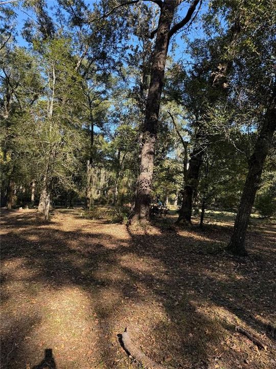 待售: $160,000 (3.00 acres)