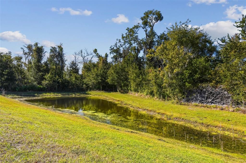 En Venta: $375,000 (4 camas, 2 baños, 1924 Pies cuadrados)