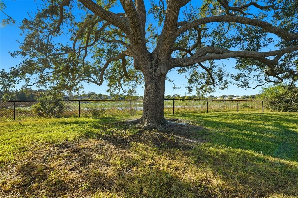 待售: $379,000 (2 贝兹, 2 浴室, 1228 平方英尺)