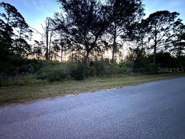 待售: $17,000 (0.23 acres)