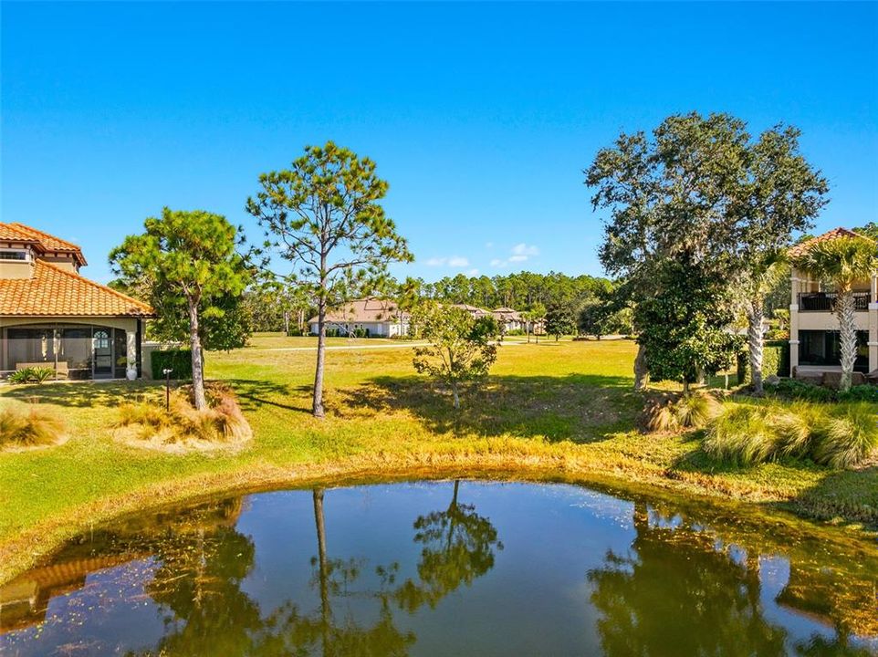 На продажу: $320,000 (0.34 acres)