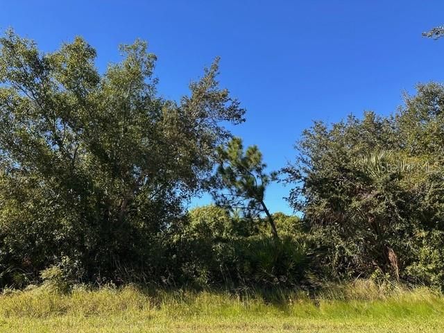 En Venta: $80,000 (0.30 acres)