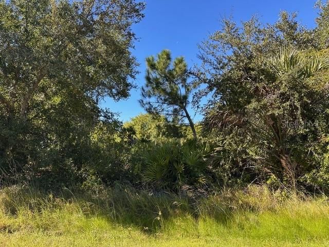 En Venta: $80,000 (0.30 acres)