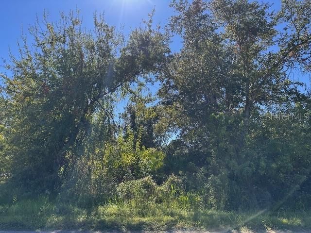 En Venta: $80,000 (0.30 acres)