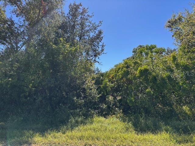 En Venta: $80,000 (0.30 acres)