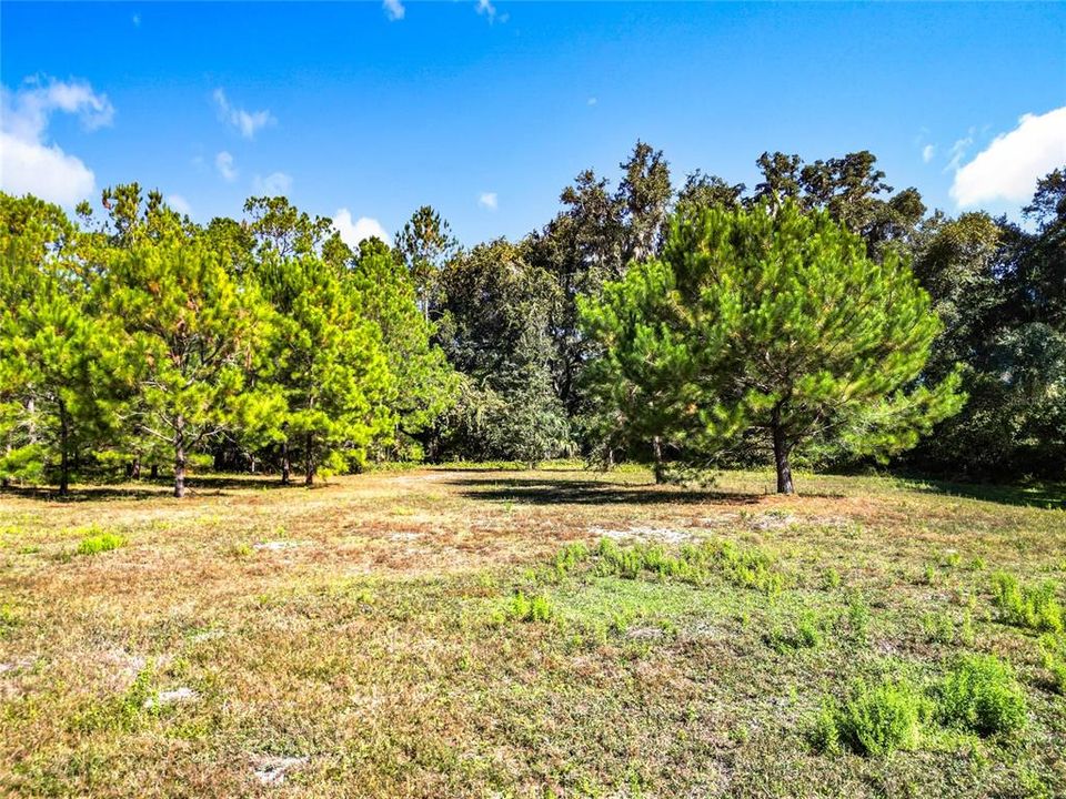 For Sale: $625,000 (3 beds, 1 baths, 1100 Square Feet)