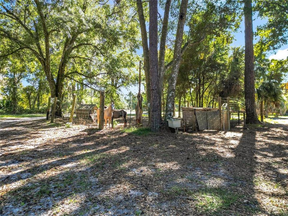 For Sale: $625,000 (3 beds, 1 baths, 1100 Square Feet)