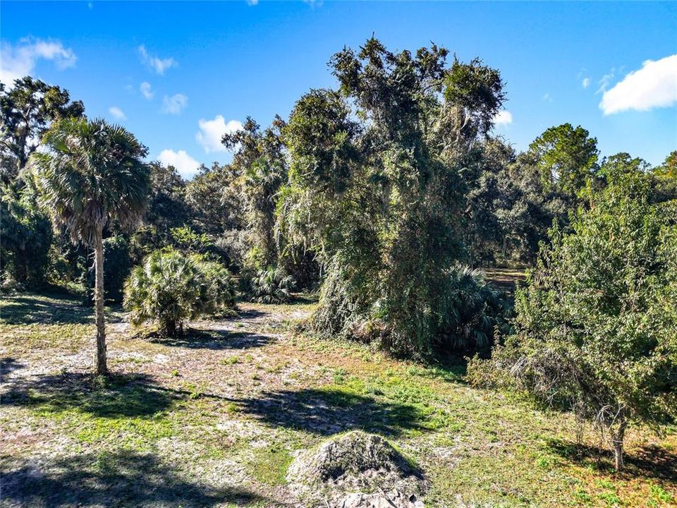 For Sale: $625,000 (3 beds, 1 baths, 1100 Square Feet)