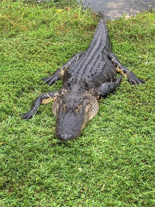 待售: $219,000 (2 贝兹, 2 浴室, 1110 平方英尺)