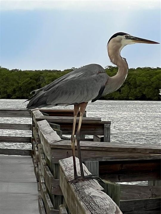 待售: $219,000 (2 贝兹, 2 浴室, 1110 平方英尺)