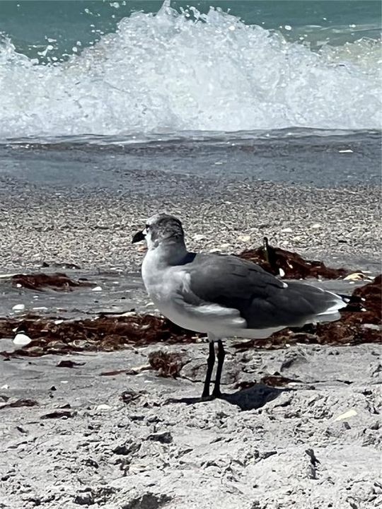 待售: $219,000 (2 贝兹, 2 浴室, 1110 平方英尺)