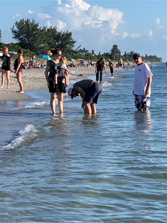 待售: $219,000 (2 贝兹, 2 浴室, 1110 平方英尺)