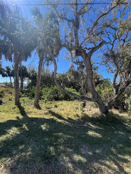 For Sale: $50,000 (0.36 acres)