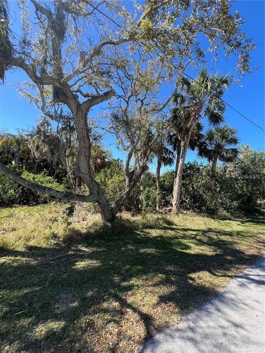 For Sale: $50,000 (0.36 acres)