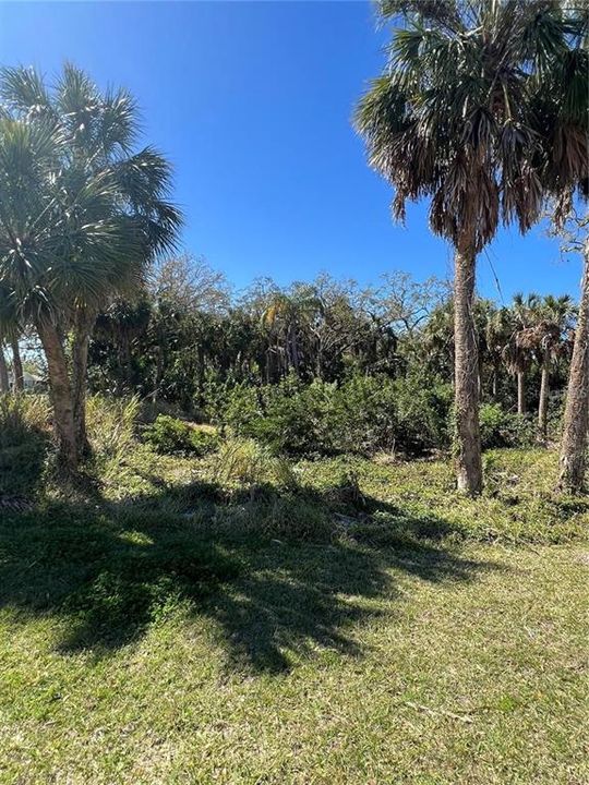 For Sale: $50,000 (0.36 acres)