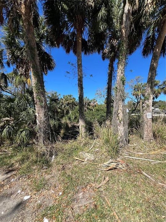 For Sale: $50,000 (0.36 acres)