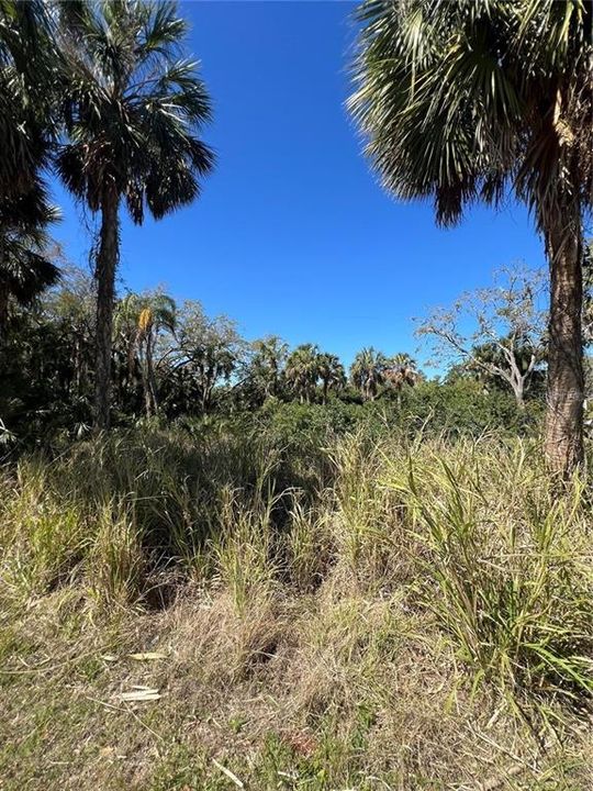 For Sale: $50,000 (0.36 acres)