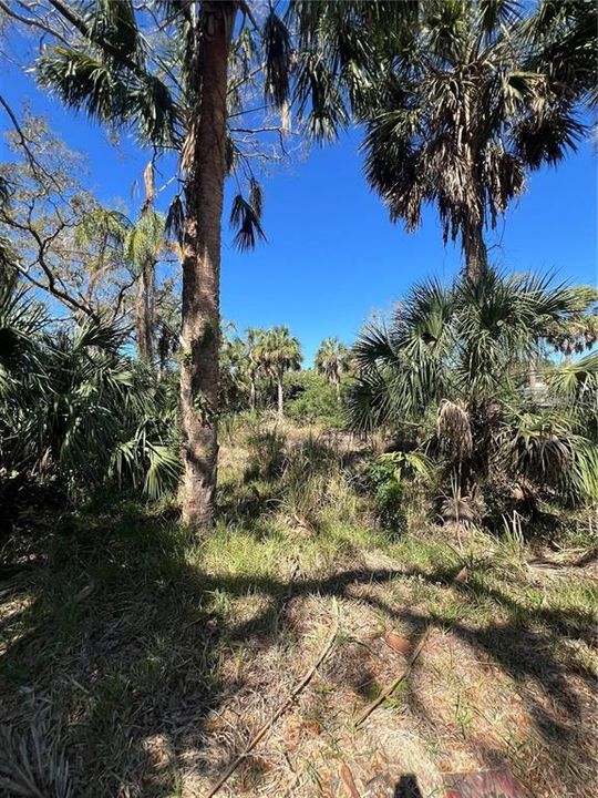 For Sale: $50,000 (0.36 acres)