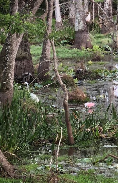 待售: $1,195,000 (4 贝兹, 3 浴室, 3057 平方英尺)