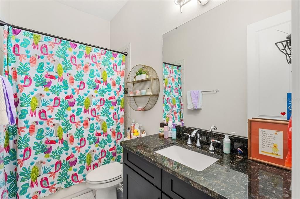 Под контрактом: $1,250,000 (4 спален, 4 ванн, 3805 Квадратных фут)