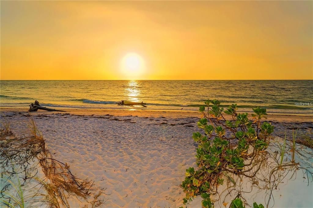 For Rent: $4,425 (3 beds, 3 baths, 2717 Square Feet)