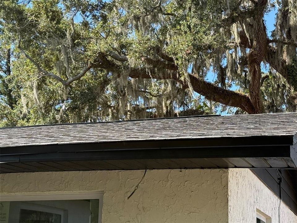 Active With Contract: $259,000 (3 beds, 1 baths, 920 Square Feet)