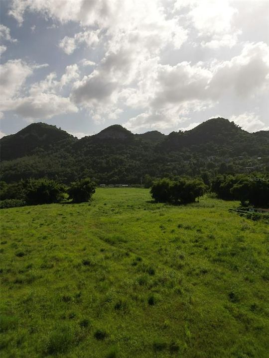 For Sale: $950,000 (20.00 acres)