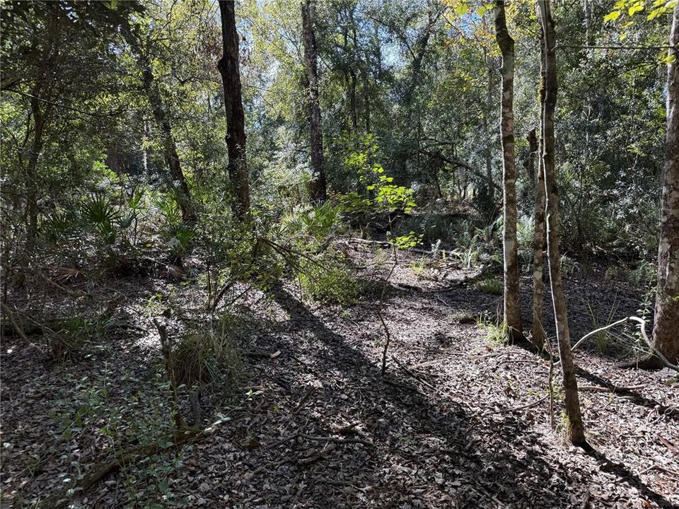 На продажу: $150,000 (1.01 acres)