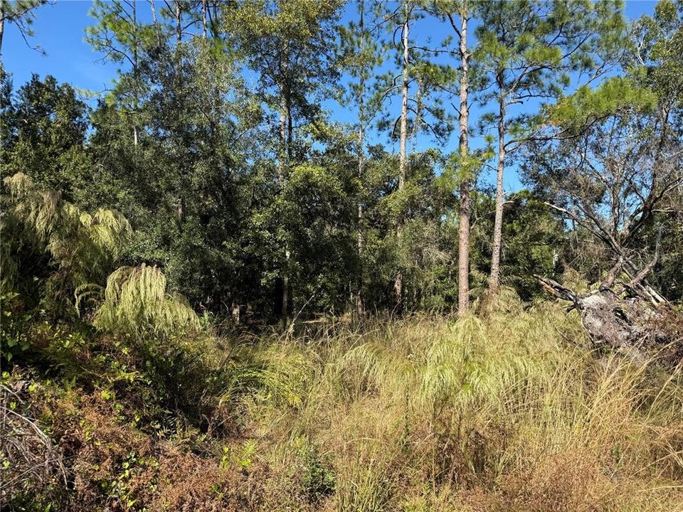 На продажу: $150,000 (1.01 acres)