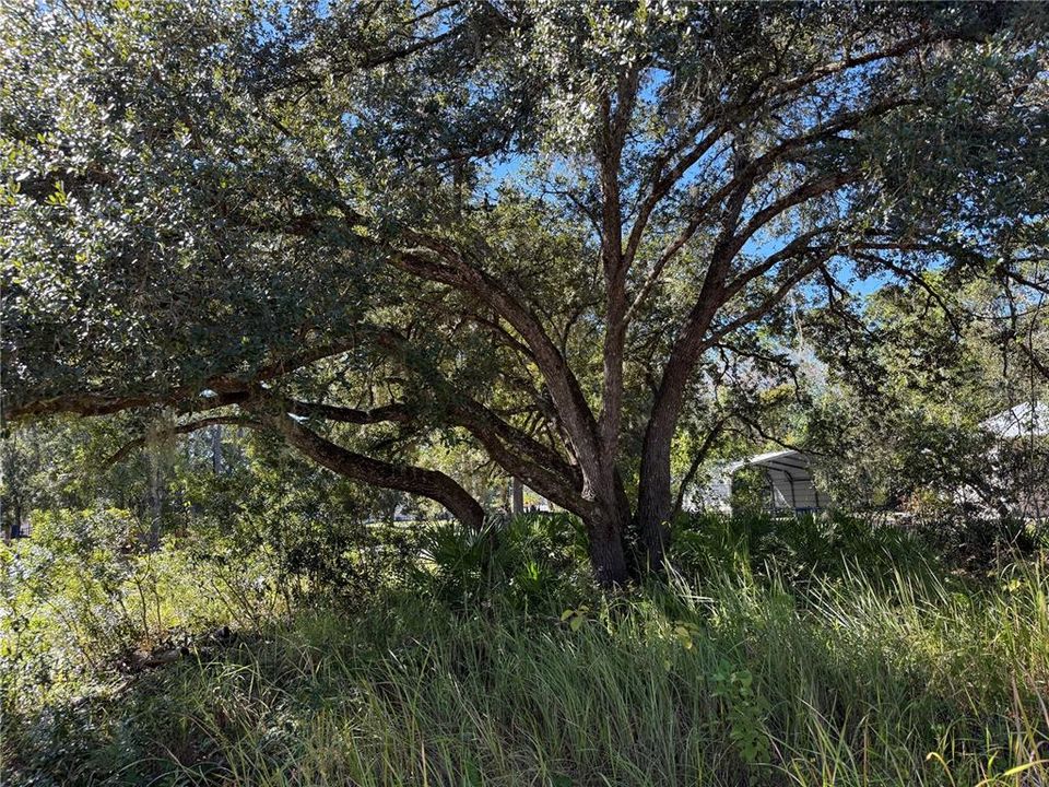 На продажу: $150,000 (1.01 acres)