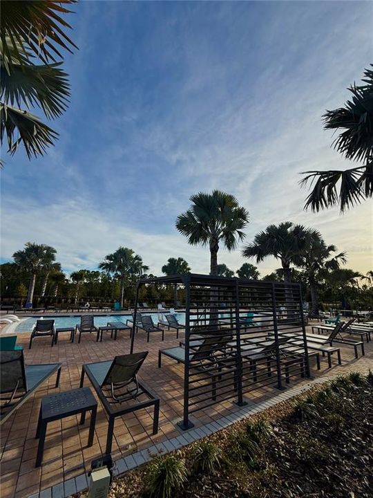 出租: $2,300 (3 贝兹, 2 浴室, 1463 平方英尺)