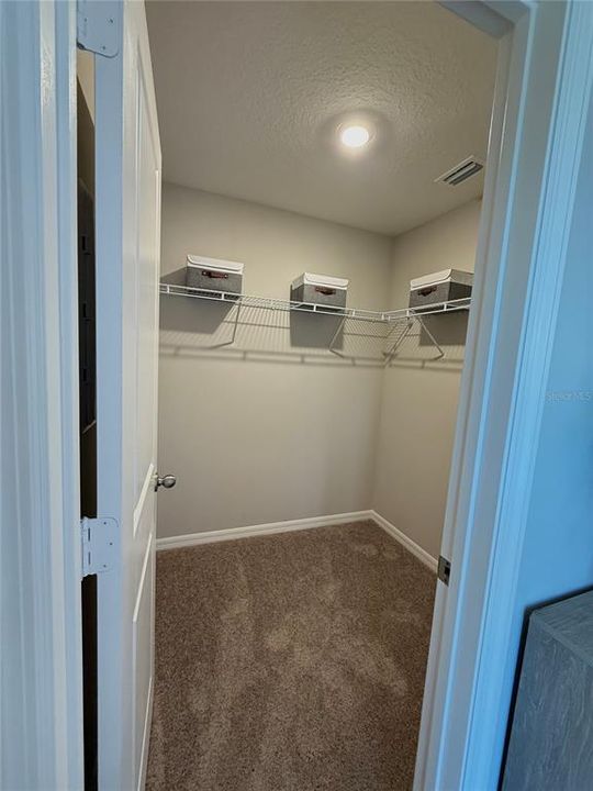 出租: $2,300 (3 贝兹, 2 浴室, 1463 平方英尺)