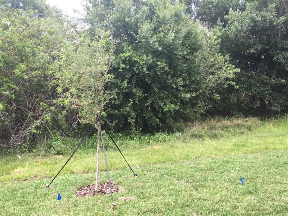 出租: $2,100 (3 贝兹, 2 浴室, 1824 平方英尺)