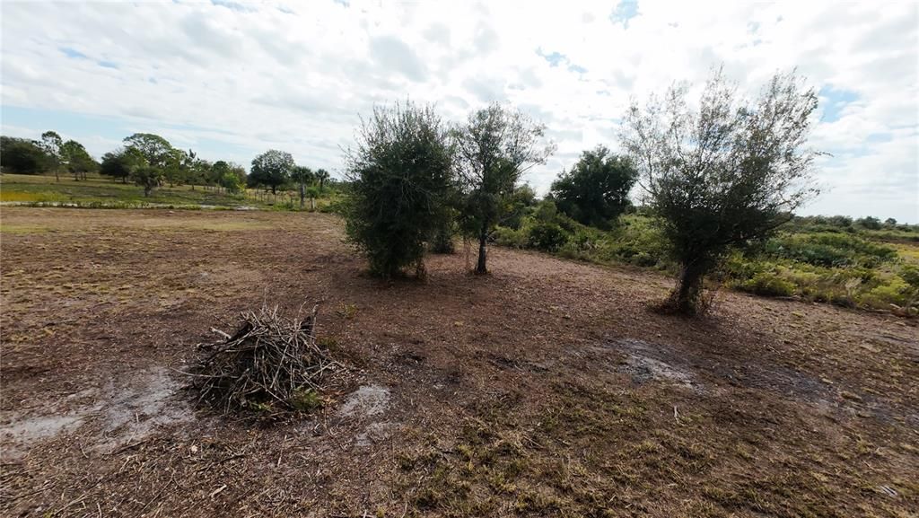 合同活跃: $49,000 (1.25 acres)