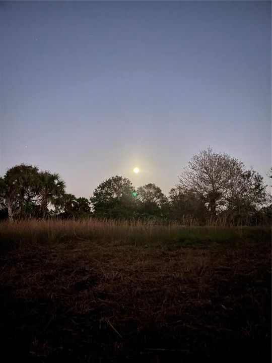 合同活跃: $49,000 (1.25 acres)