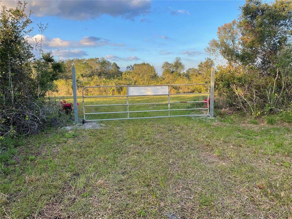 合同活跃: $49,000 (1.25 acres)