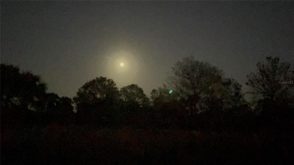 合同活跃: $49,000 (1.25 acres)