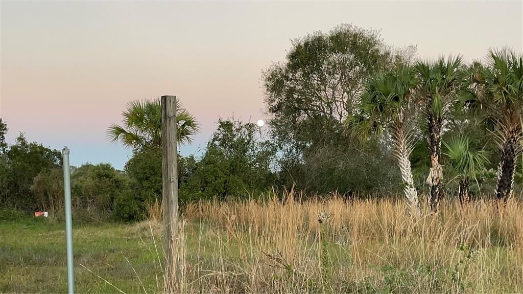 合同活跃: $49,000 (1.25 acres)