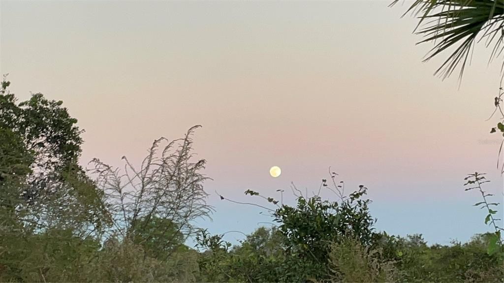 合同活跃: $49,000 (1.25 acres)