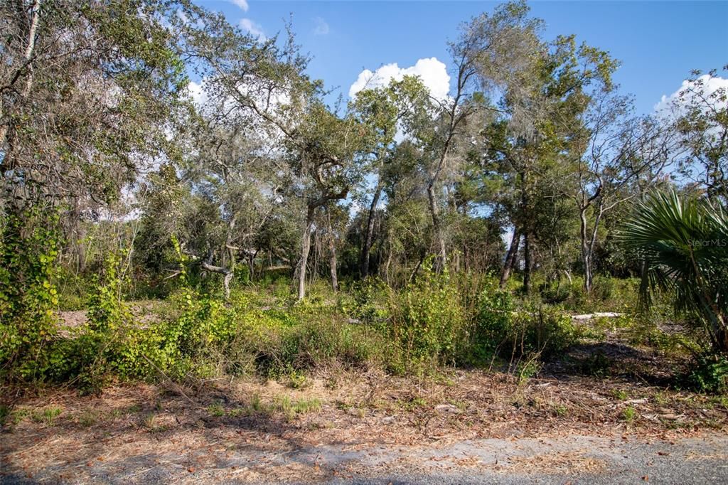 На продажу: $105,000 (1.07 acres)