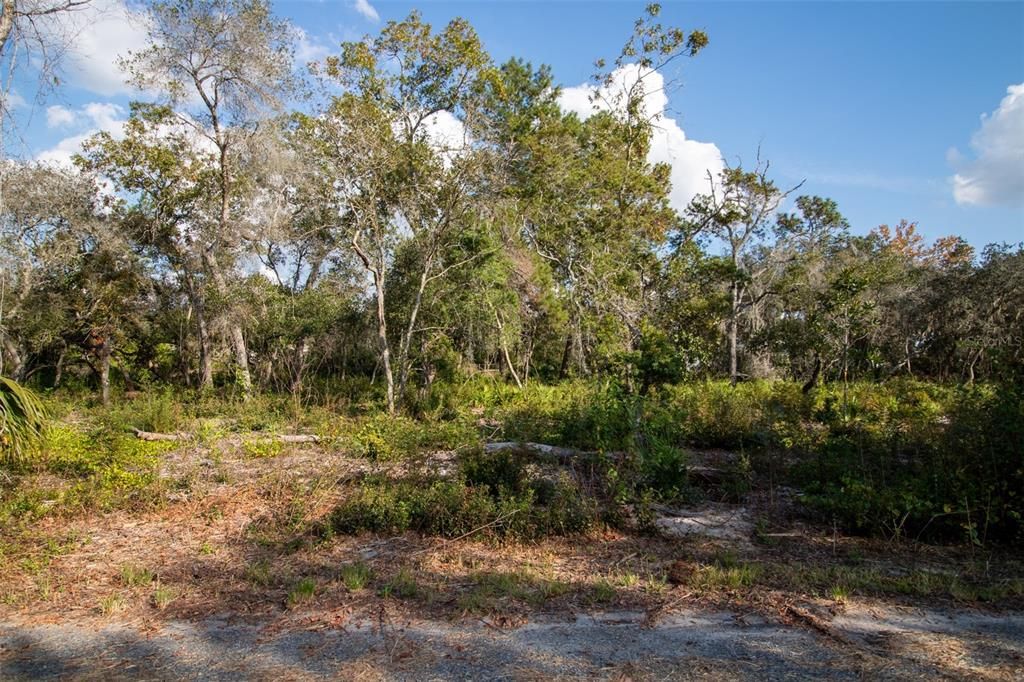 На продажу: $105,000 (1.07 acres)