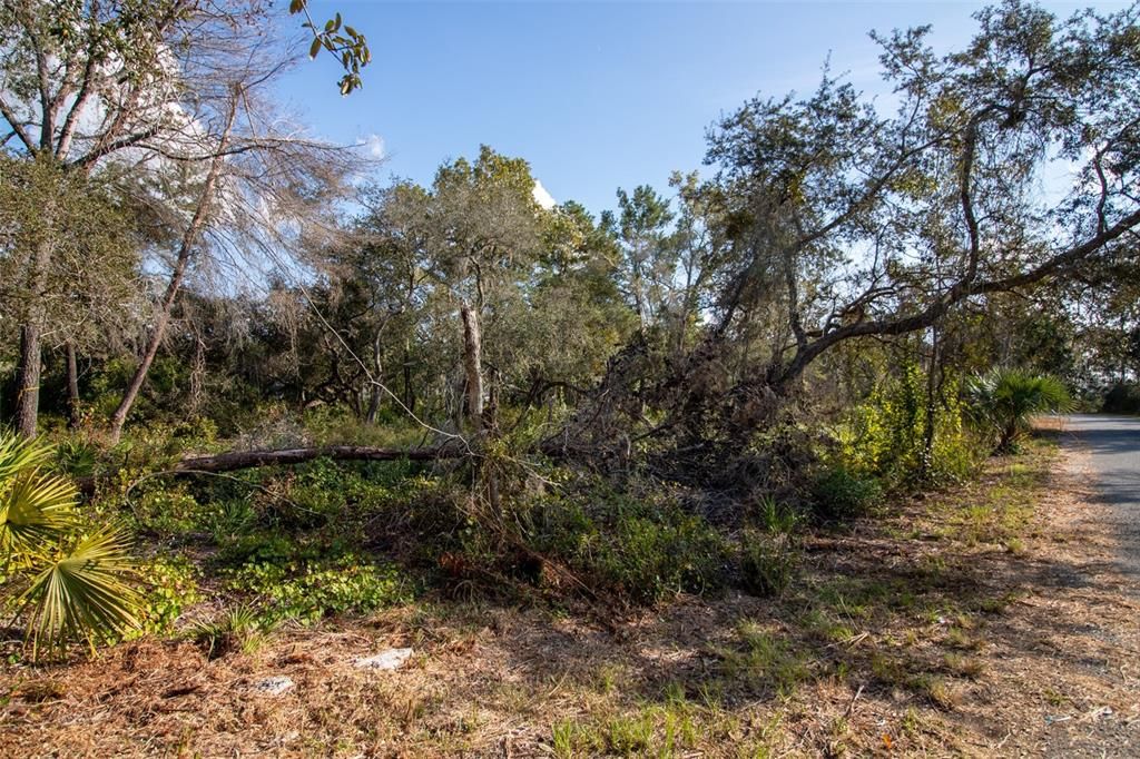 На продажу: $105,000 (1.07 acres)