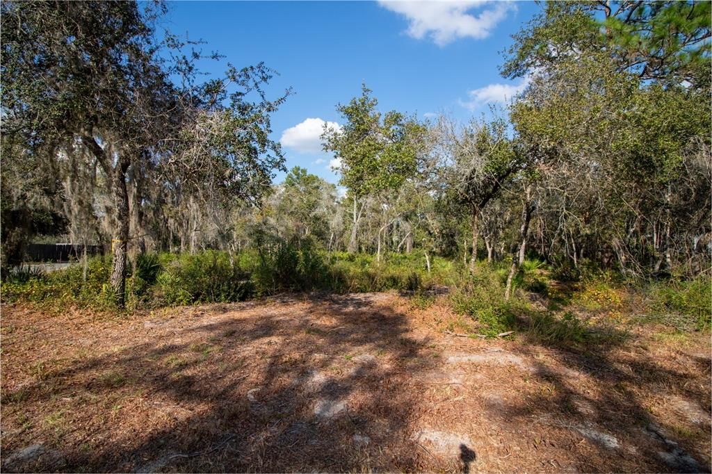 На продажу: $105,000 (1.07 acres)